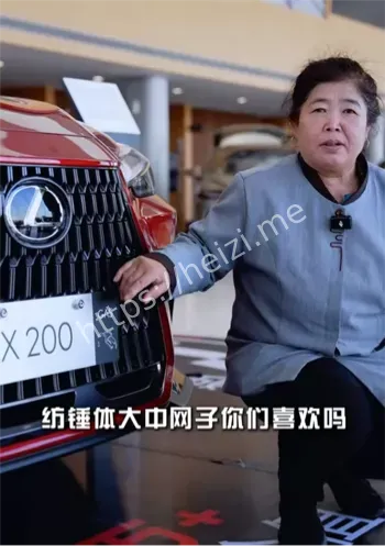 保洁阿姨土味说车视频