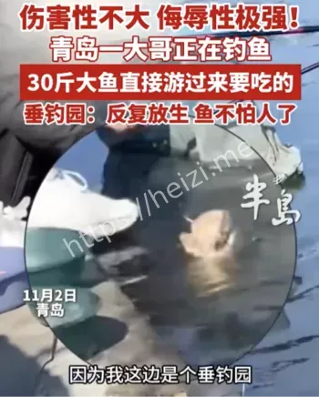 30斤大鱼索食